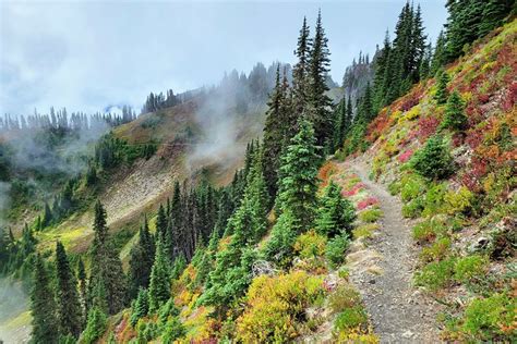 14 Top Rated Hiking Trails In Olympic National Park Planetware