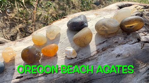Rockhounding Oregon Beach Agates 4k Youtube