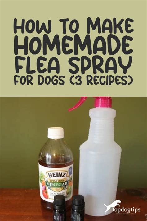 An Image Of How To Make Homemade Flea Spray For Dogs And Cats Recipe