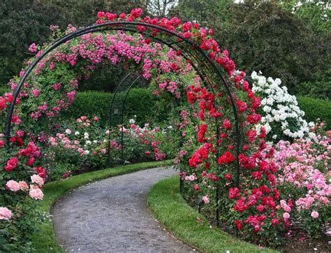24 Exposition Rose Garden Ideas You Gonna Love Sharonsable