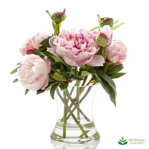Safeer Desta Pink Peony Flowers In Vase Beautiful Pink Peony Flowers