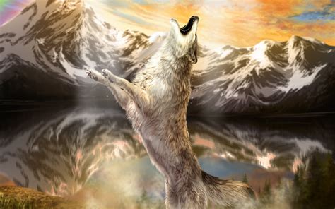 Howling Wolf 4k Ultra Hd Wallpaper Background Image 4500x2813 Id