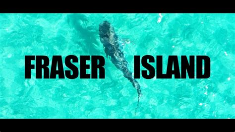 Fraser Island And Its Massive Sharks 21 Youtube