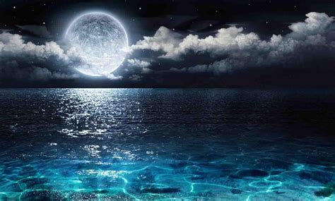 Moonlight Night Wallpapers Top Free Moonlight Night Backgrounds