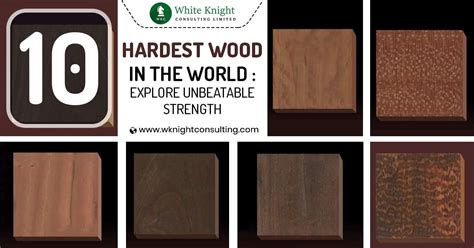 10 Hardest Wood In The World Explore Unbeatable Strength