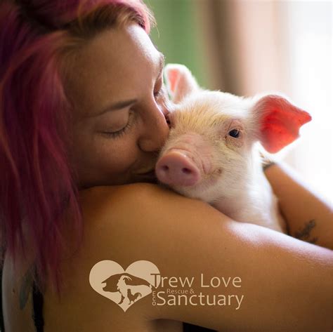 Trew Love Sanctuary