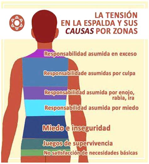 Infografía Zonas De La Espalda Afectadas Por La Tensión 160319