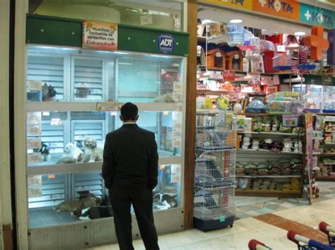 Pet stores are part of the solution. Retail Hell Underground: Judge Rules Phoenix Pet Stores ...