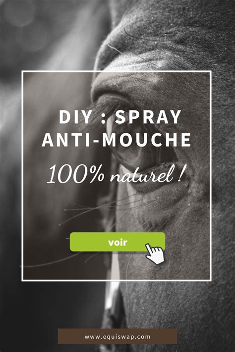 Diy Spray Anti Mouche Naturel Pour Votre Cheval Anti Mouche Anti