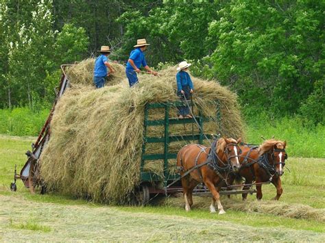 Paul Cyr Photography Amish Culture Amish Amish Farm