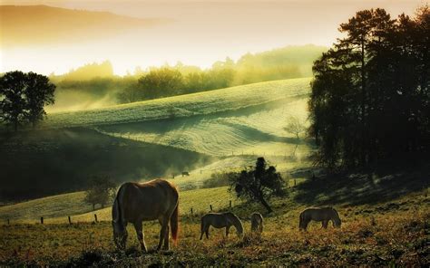 Countryside Wallpaper 63 Images