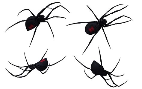 Spider Design Black Widow Clipart Best