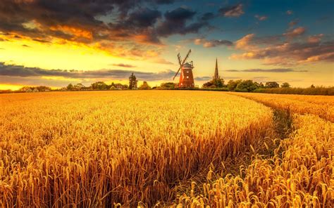 1920x1200 Windmill On Wheat Field At Sunset 1200p Wallpaper Hd Nature
