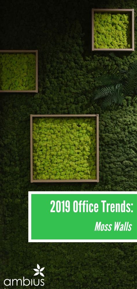 Introducing The Office Design Trends Of 2019 And Beyond Ambius Us