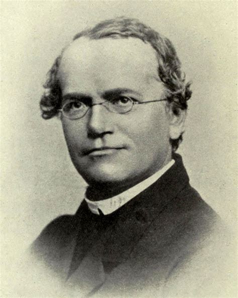 Father Of Modern Genetic Sir Gregor Johann Mendel