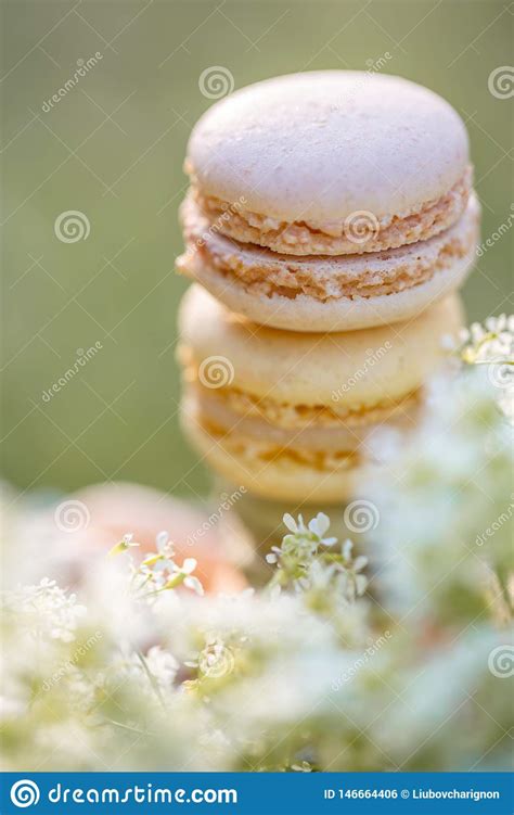 Pasteles Franceses Airosos Dulces Deliciosos Macarons De Los Dulces Del
