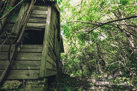 Abandoned Caribbean Island House