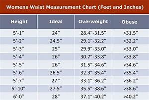 Women Waist Measurement Chart Waist Measurement Chart Body