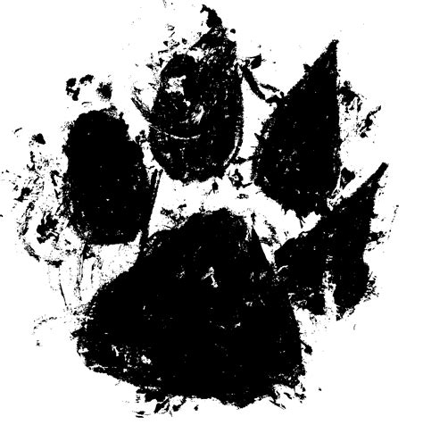4 Grunge Paw Print (PNG Transparent) | OnlyGFX.com