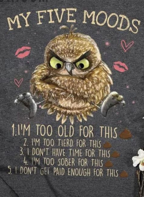 Funny Owl Quotes Funny Good Morning Quotes Funny Owls Good Morning Funny Pictures Sarcastic