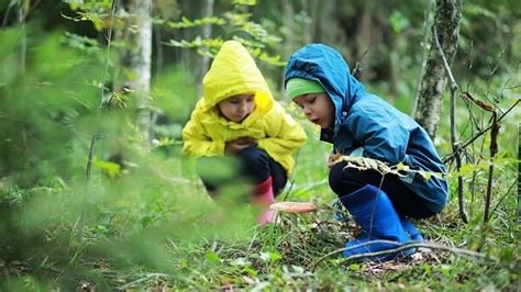 Comparing Forest Kindergarten And Forest School Learning Through