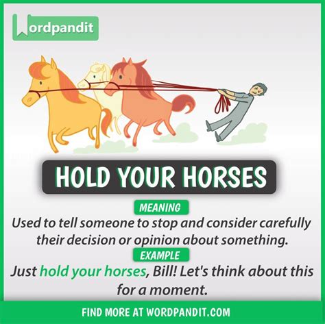 What Does Hold Your Horses Mean As An Idiom