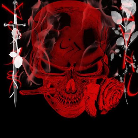 Skulls With Flames Skull Artwork Skull Skully