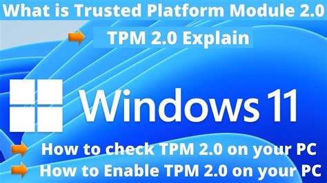 Windows And Tpm Explained How To Enable Tpm Ptt On Your Pc My Xxx Hot