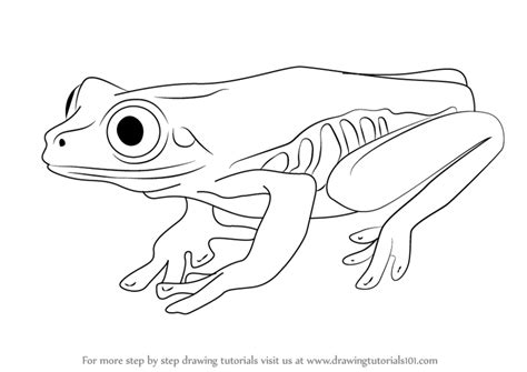 Now, complete the frog by adding other extra final touch elements to make it look like one! Learn How to Draw a Tree Frog (Amphibians) Step by Step ...