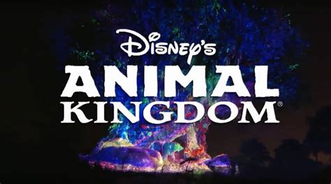 Awakening The Tree Of Life For The Holidays At Disneys Animal Kingdom