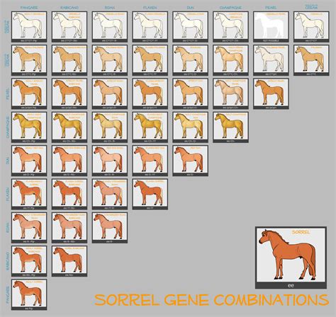 It gives impossible (false) numbers if you put anything as unknown for heterzygous vs. horses coats favourites by zhalia-moon on DeviantArt