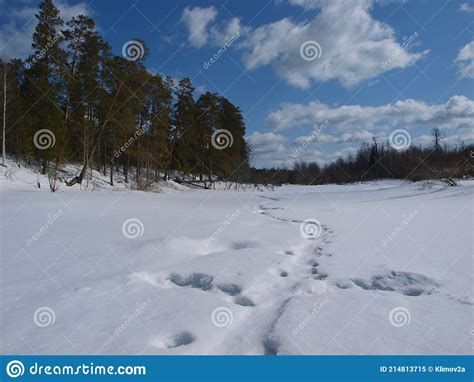 Russian Siberia In Winter River Ket And Snow Covered Taiga Stock Image