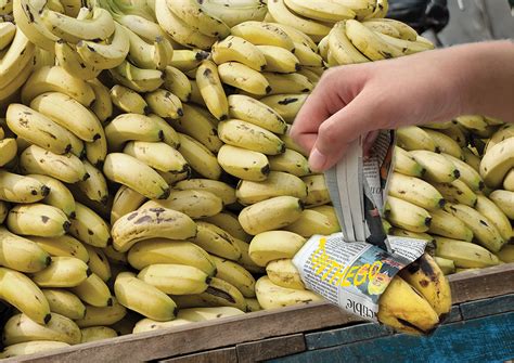 Branding And Packaging Bananas On Behance