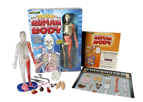 New Human Body Anatomy Toy Smartlab Kids Toys Squishy Human Body Book