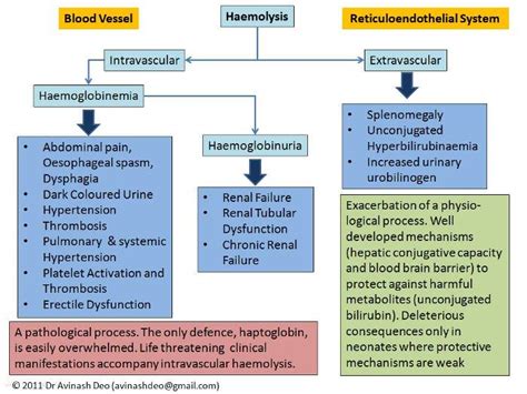 Hemolysis Diagram Medical Laboratories
