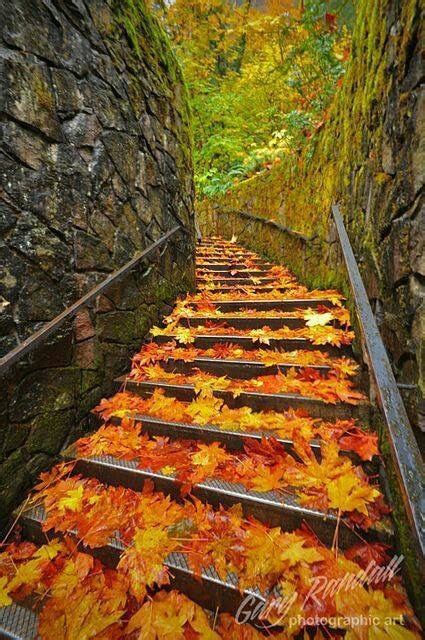 Pin by Tatjana Sevrjukova on Peaceful paths | Autumn beauty, Scenery ...