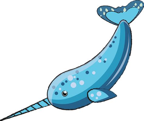 Narwhal Clipart Free Download Transparent Png Creazilla