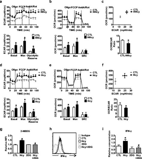 It has a campground alongside two medicine lake. Glycolysis is critical for Hcy-induced CD4⁺ T cell ...