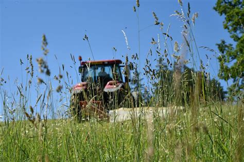 Acreage Mowing - Lawn & Landcare