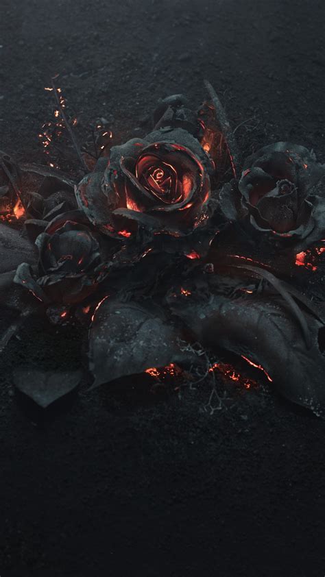 2160x3840 burning roses 5k sony xperia x xz z5 premium hd 4k wallpapers images backgrounds