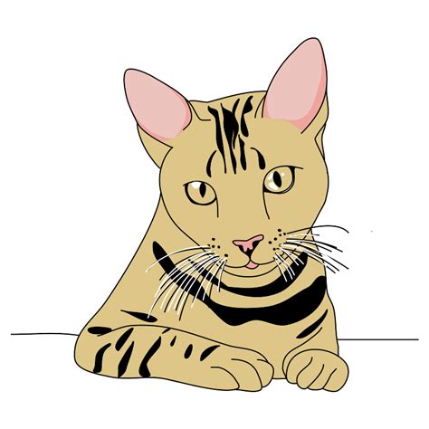Tiger Cat Public Domain Vectors