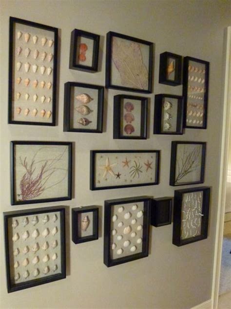 Shells Mounted In Shadow Boxes Sea Shell Decor Shell Decor Sea Shells