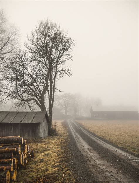 Fog Road Country Roads Landscape Scenery