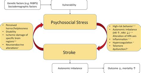 Psychosocial Stress And Strokea Bidirectional Relationship Fkbp