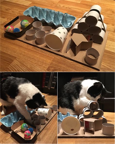 Diy cat puzzle cats are interesting creatures and loves to play every now and then. DIY puzzle feeder for cats in 2020 (With images) | Diy cat ...