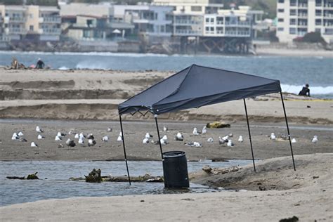 Body Found In Barrel On Malibu Beach Didn T Look Decomposed —police