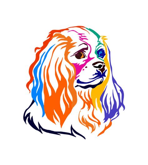 Colorful Charles Spaniel Dog Head Vector Colorful King Charles