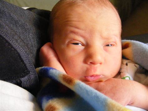 This is the funniest facebook status in the world! Funny face | uzi978 | Flickr
