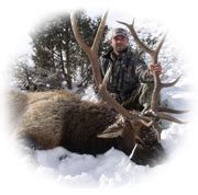 Elk Hunting in Montana - Rates for Guided Montana Elk Hunts - Sunday ...