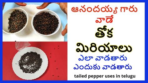 తోక మిరియాలు ఎలా పనిచేస్తాయో తెలుసా Toka Miriyalu Uses In Telugu